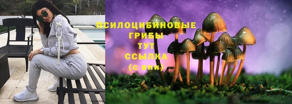 ГАЛЛЮЦИНОГЕННЫЕ ГРИБЫ Абаза